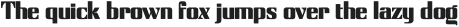 BN Rigidly Regular otf (400)