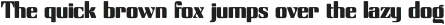 BN Rigidly Custom Rounding otf (400)