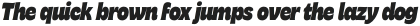Freitag Heavy Italic otf (800)