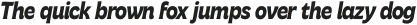 Freitag Bold Italic otf (700)