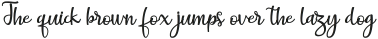 Blush Script Regular ttf (400)
