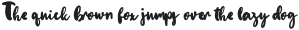 Spooky House Script otf (400)
