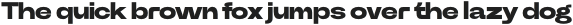 Power Grotesk Heavy otf (800)