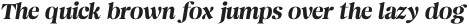 Magnivera Medium Italic otf (500)