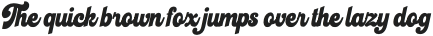 Breaker Rockin Script otf (400)
