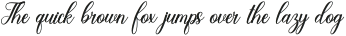 Wonderful Love Font Regular otf (400)