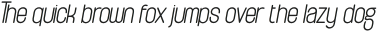 Tanaka-Italic otf (400)