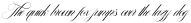 The Dellgado Italic Regular otf (400)