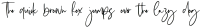 Obladi Script otf (400)
