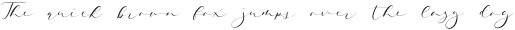 Quinolyne otf (400)