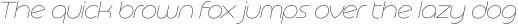 Basenji UltraLight Italic otf (300)