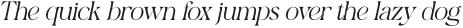 Bomiro Thin Italic otf (100)