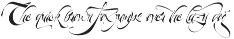 Agustus font preview
