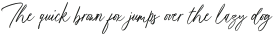Routier Script otf (400)