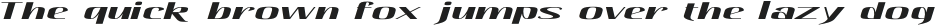 Hautte Semi Bold Italic Extra Expanded otf (600)