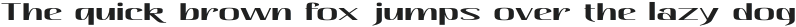 Hautte Extra Expanded otf (400)