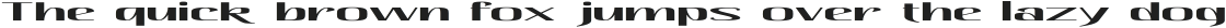 Hautte Ultra Expanded otf (900)
