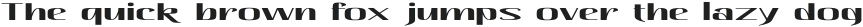 Hautte Medium Extra Expanded otf (500)