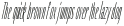 Hautte Extra Light Italic Ultra Condensed otf (200)
