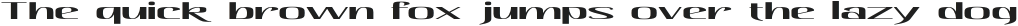 Hautte Light Ultra Expanded otf (300)