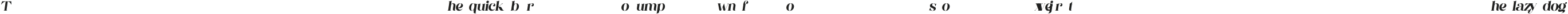 Purity Italic ttf (400)