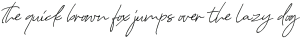 AmericanWonders-Script otf (400)