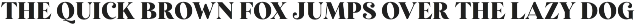 American Wonders - FONT DUO preview