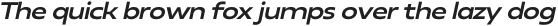 Neue Reman Gt Semi Bold Expanded Italic otf (600)