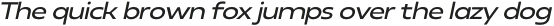 Neue Reman Gt Medium Expanded Italic otf (500)