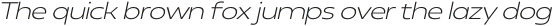 Neue Reman Gt Light Expanded Italic otf (300)