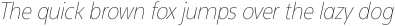 Neue Reman Gt Extra Light Condensed Italic otf (200)
