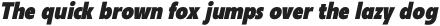 Neue Reman Gt Heavy Condensed Italic otf (800)
