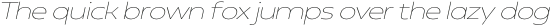 Neue Reman Gt Extra Light Expanded Italic otf (200)