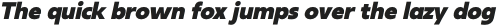 Neue Reman Gt Heavy Italic otf (800)