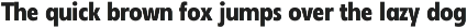 Neue Reman Grotesk preview