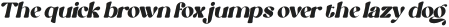 Special Charisma Italic otf (400)