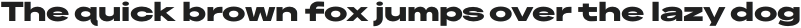 Neuething Sans ExtraBold UltraExpanded otf (100)