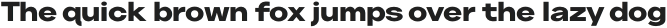 Neuething Sans ExtraBold Expanded otf (100)