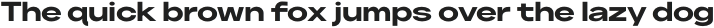 Neuething Sans Bold ExtraExpanded otf (100)