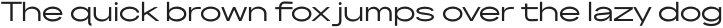 Neuething Sans Regular UltraExpanded otf (100)