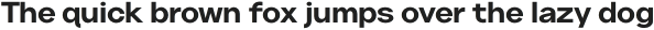 Neuething Sans Bold SemiExpanded otf (100)