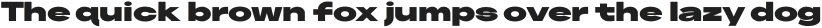 Neuething Sans Black UltraExpanded otf (100)
