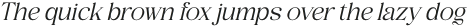 Arteta-Italic otf (400)