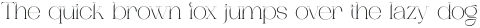 Dagstam otf (400)