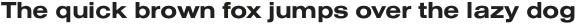Nimbus Sans Extd Bold otf (700)