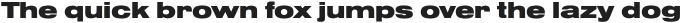 Nimbus Sans Extd Black otf (900)