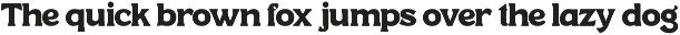 Manbort Vintage Serif Typeface Font preview