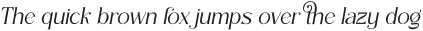 The Paloma Italic ttf (400)