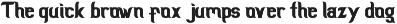 Scientist Castle - Family Slab Serif font preview