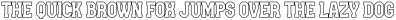 Team Spirit Outline Regular otf (400)